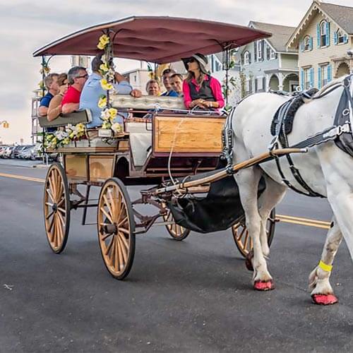 Things To Do callout