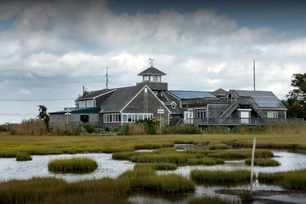 Things To Do The Wetlands Institute 