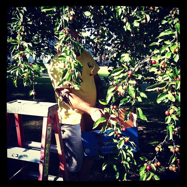 Things To Do West Cape May