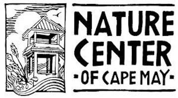 Things To Do Cape May Nature Center